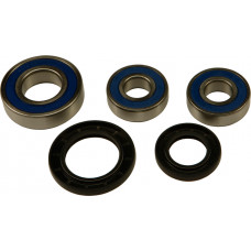 REAR WHEEL BEARING/SEAL KIT
