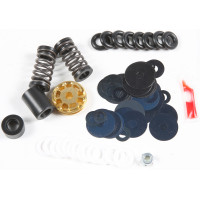 GOLD FORK VALVE KIT