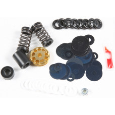 GOLD FORK VALVE KIT