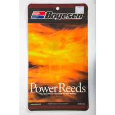 MOTORCYCLE REEDS