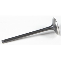 BLACK DIAMOND INTAKE VALVE