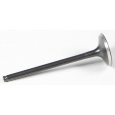 BLACK DIAMOND INTAKE VALVE