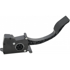 RIDE BY WIRE THROTTLE ASSY POL