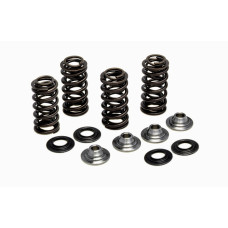 RACING VALVE SPRING KIT