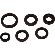 OIL SEAL KIT YAM