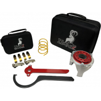 DUNER 226 CLUTCH KIT CAN
