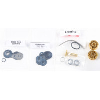 GOLD FORK VALVE KIT
