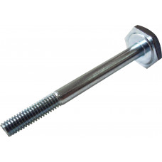 TIMING SCREW