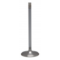 WHITE DIAMOND EXHAUST VALVE