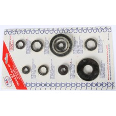 ENGINE OIL SEAL KIT
