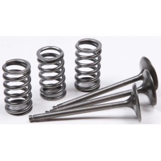 INTAKE VALVE CONVERSION SET TI-STEEL GAS/YAM