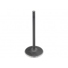 INTAKE VALVE POL