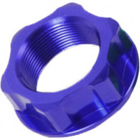 STEERING STEM NUT & BOLT BLUE M22X27-P1.0 H12