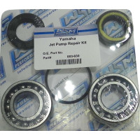 PUMP REPAIR KIT YAM