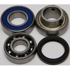 CHAIN CASE BEARING & SEAL KIT