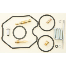 CARBURETOR REPAIR KIT