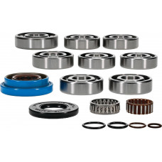 TRANSMISSION BEARING AND SEAL KIT