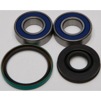 CHAIN CASE BEARING & SEAL KIT
