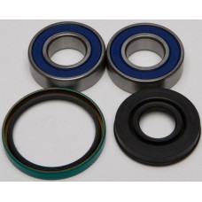 CHAIN CASE BEARING & SEAL KIT