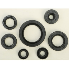 OIL SEAL SET