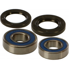 WHEEL BEARING & SEAL KIT