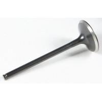 BLACK DIAMOND INTAKE VALVE