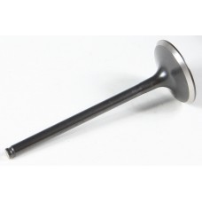 BLACK DIAMOND INTAKE VALVE