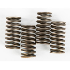 CLUTCH SPRINGS CSK150