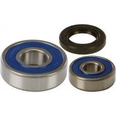 WHEEL BEARING & SEAL KIT