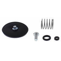 ACCEL. PUMP REBUILD KIT