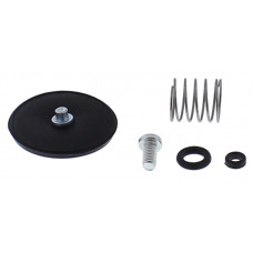 ACCEL. PUMP REBUILD KIT