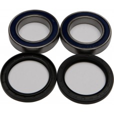 WHEEL BEARING & SEAL KIT