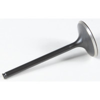 BLACK DIAMOND INTAKE VALVE