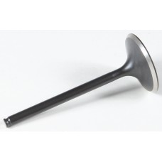 BLACK DIAMOND INTAKE VALVE
