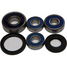 REAR WHEEL BEARING/SEAL KIT