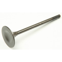 INTAKE VALVE