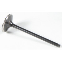 BLACK DIAMOND INTAKE VALVE