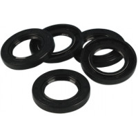 GASKET SEAL CHAIN COVER DBL LIP  BIG TWINS  5PK 12052