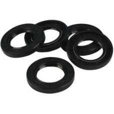 GASKET SEAL CHAIN COVER DBL LIP  BIG TWINS  5PK 12052