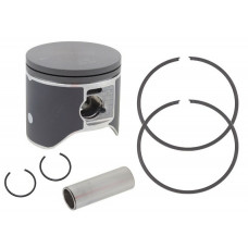 PISTON T-MOLY DUAL RING POL