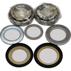 STEERING BEARING/SEAL KIT