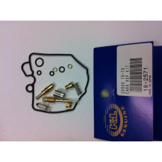 CARBURETOR REPAIR KIT