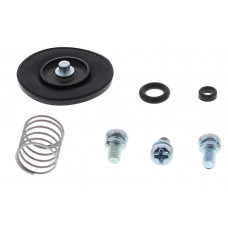 ACCEL. PUMP REBUILD KIT