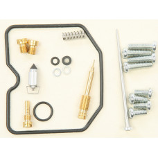 CARBURETOR REPAIR KIT