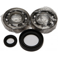 CRANKSHAFT BEARING/SEAL KIT