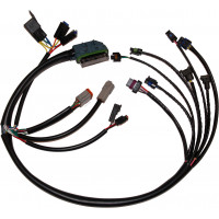 COMPLETE EFI HARNESS 02-03