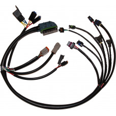 COMPLETE EFI HARNESS 02-03