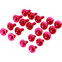 ALUMINUM BOLT KIT RED