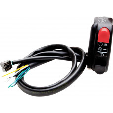 REV2 STOP/START SWITCH