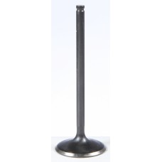 BLACK DIAMOND INTAKE VALVE BLACK DIAMOND INTAKE VALVE